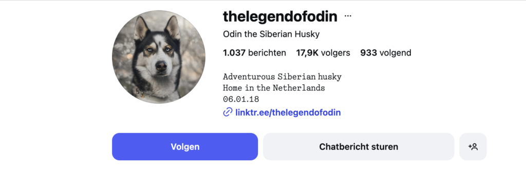 influencer