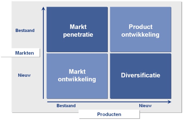 Ansoff model maken