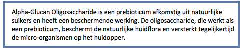 Voorbeeld vakjargon